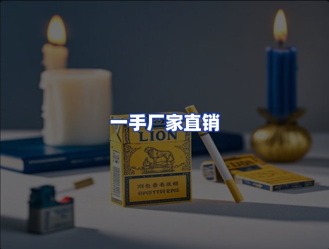 专业团队
